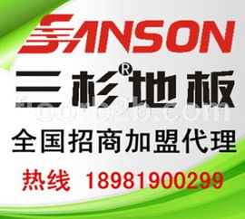 携手行业翘楚，共创财富未来——保山市木地板加盟优选 一流强化地板品牌三杉地板深度解析